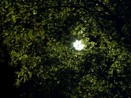 20061022 042302